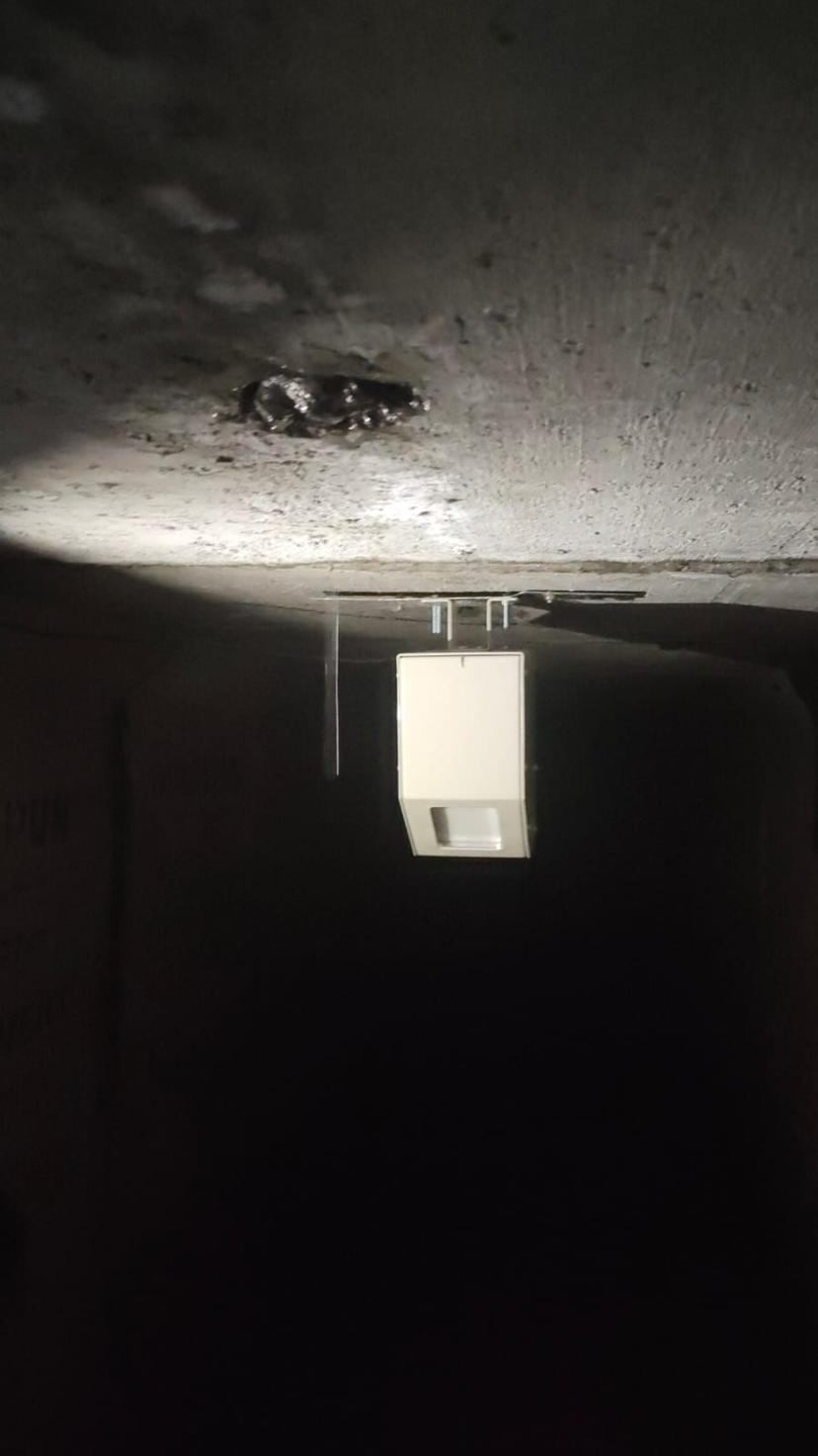 WhatsApp Image 2023-02-28 at 16.52.59.jpeg